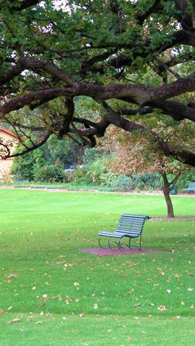 Queens Gardens, Perth, WA. 